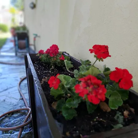 Prázdninový dům Paradise Kriopigi