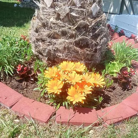 Paradise Prázdninový dům Kriopigi