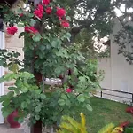 Case de vacanță Paradise *