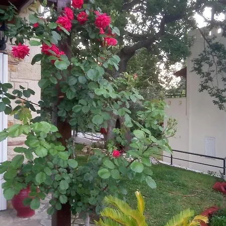 Ferienhaus Paradise *
