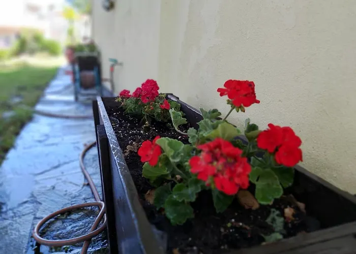 Hébergement de vacances Paradise Kriopigi