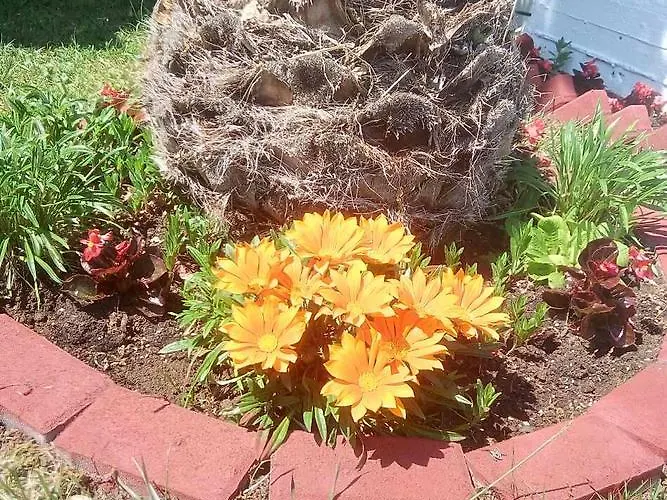 Paradise Hébergement de vacances Kriopigi