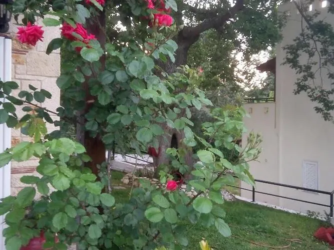 Hébergement de vacances Paradise *