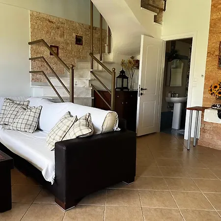 Paradise クリオピギ