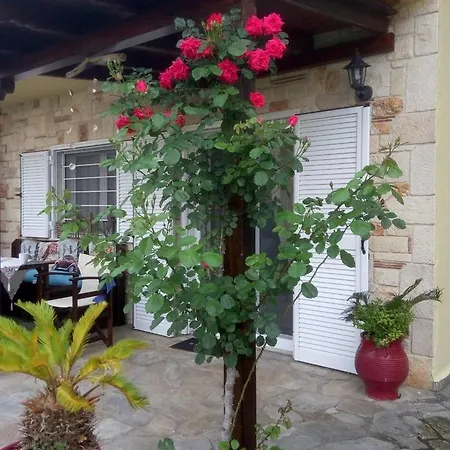 Paradise * クリオピギ