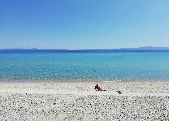 Prázdninový dům Paradise Kriopigi